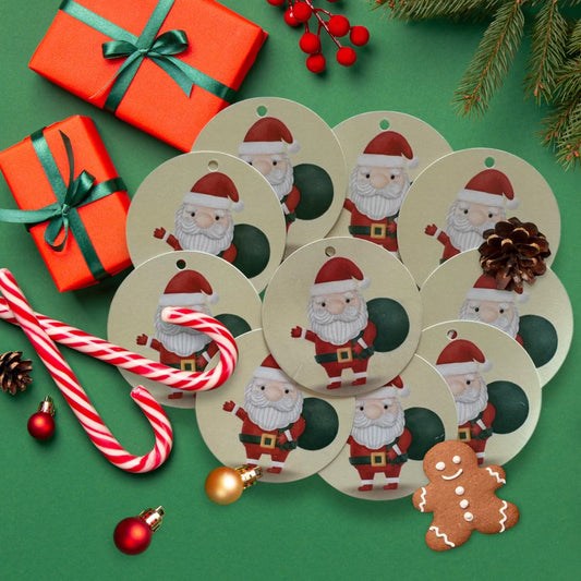 Special Delivery Tags(Christmas)